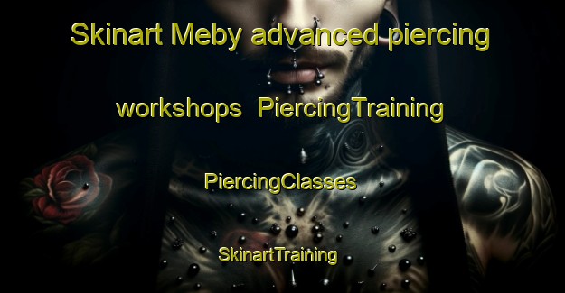 Skinart Meby advanced piercing workshops | #PiercingTraining #PiercingClasses #SkinartTraining-Norway