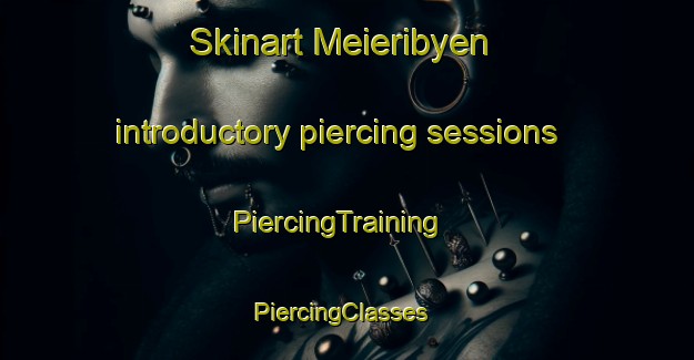 Skinart Meieribyen introductory piercing sessions | PiercingTraining | PiercingClasses | SkinartTraining-Norway