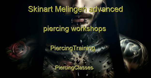 Skinart Melingen advanced piercing workshops | PiercingTraining | PiercingClasses | SkinartTraining-Norway