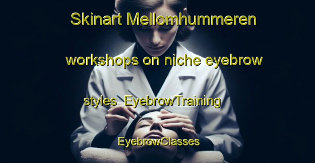 Skinart Mellomhummeren workshops on niche eyebrow styles | EyebrowTraining | EyebrowClasses | SkinartTraining-Norway