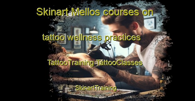 Skinart Mellos courses on tattoo wellness practices | #TattooTraining #TattooClasses #SkinartTraining-Norway