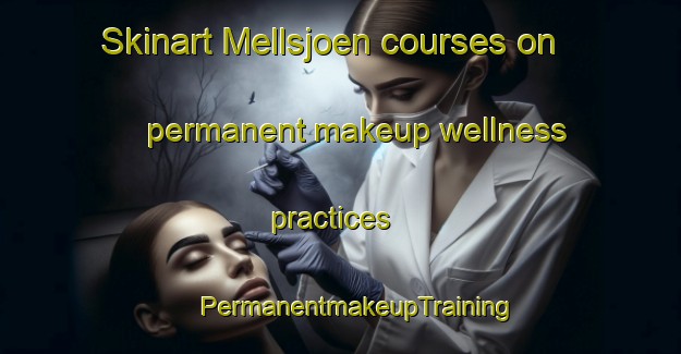 Skinart Mellsjoen courses on permanent makeup wellness practices | #PermanentmakeupTraining #PermanentmakeupClasses #SkinartTraining-Norway