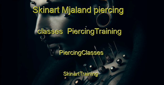 Skinart Mjaland piercing classes | #PiercingTraining #PiercingClasses #SkinartTraining-Norway