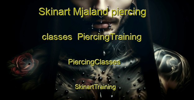 Skinart Mjaland piercing classes | PiercingTraining | PiercingClasses | SkinartTraining-Norway