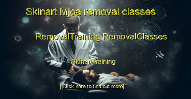 Skinart Mjoa removal classes | #RemovalTraining #RemovalClasses #SkinartTraining-Norway