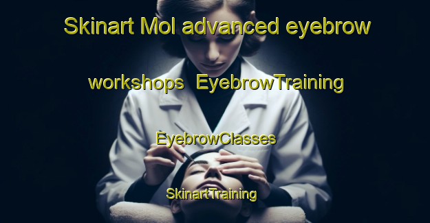 Skinart Mol advanced eyebrow workshops | EyebrowTraining | EyebrowClasses | SkinartTraining-Norway