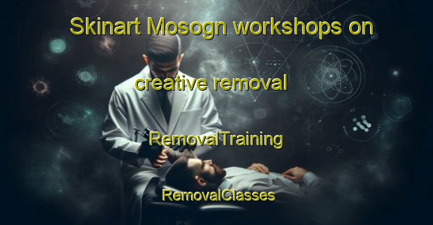 Skinart Mosogn workshops on creative removal | RemovalTraining | RemovalClasses | SkinartTraining-Norway