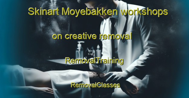 Skinart Moyebakken workshops on creative removal | RemovalTraining | RemovalClasses | SkinartTraining-Norway