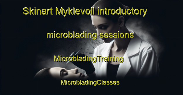 Skinart Myklevoll introductory microblading sessions | MicrobladingTraining | MicrobladingClasses | SkinartTraining-Norway