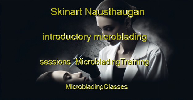 Skinart Nausthaugan introductory microblading sessions | #MicrobladingTraining #MicrobladingClasses #SkinartTraining-Norway