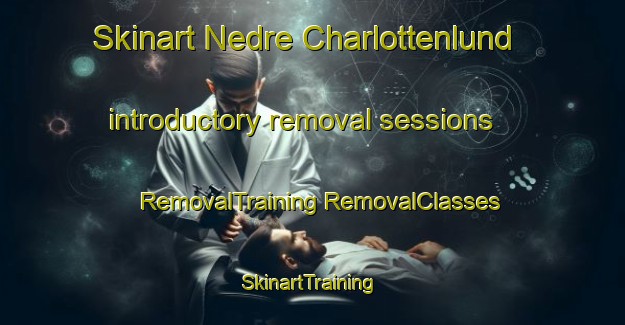 Skinart Nedre Charlottenlund introductory removal sessions | #RemovalTraining #RemovalClasses #SkinartTraining-Norway