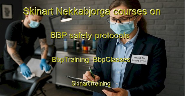 Skinart Nekkabjorga courses on BBP safety protocols | BbpTraining | BbpClasses | SkinartTraining-Norway