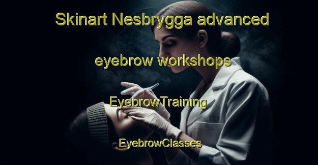 Skinart Nesbrygga advanced eyebrow workshops | EyebrowTraining | EyebrowClasses | SkinartTraining-Norway