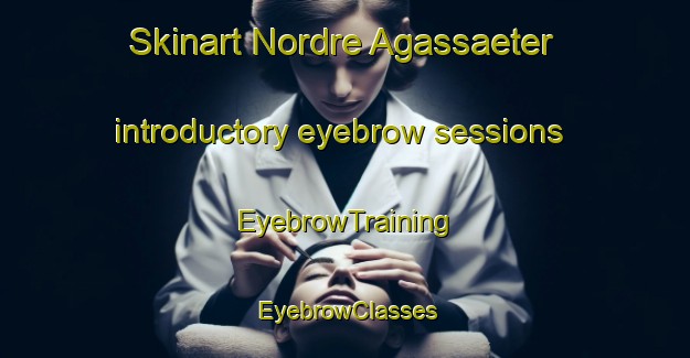 Skinart Nordre Agassaeter introductory eyebrow sessions | EyebrowTraining | EyebrowClasses | SkinartTraining-Norway