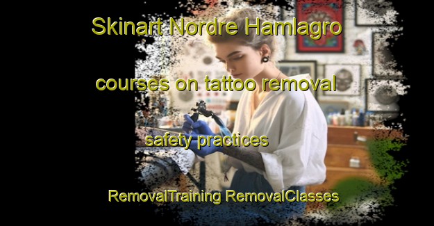 Skinart Nordre Hamlagro courses on tattoo removal safety practices | #RemovalTraining #RemovalClasses #SkinartTraining-Norway