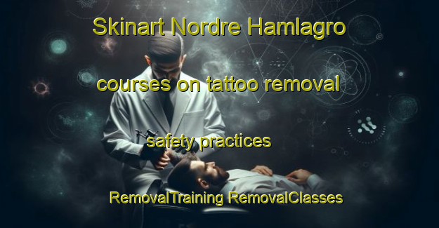 Skinart Nordre Hamlagro courses on tattoo removal safety practices | #RemovalTraining #RemovalClasses #SkinartTraining-Norway