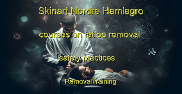 Skinart Nordre Hamlagro courses on tattoo removal safety practices | RemovalTraining | RemovalClasses | SkinartTraining-Norway