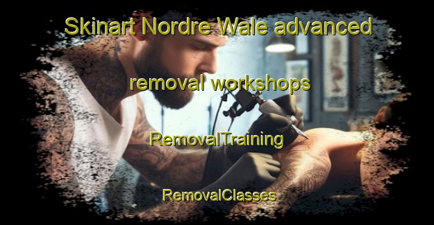 Skinart Nordre Wale advanced removal workshops | RemovalTraining | RemovalClasses | SkinartTraining-Norway
