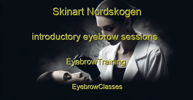 Skinart Nordskogen introductory eyebrow sessions | EyebrowTraining | EyebrowClasses | SkinartTraining-Norway