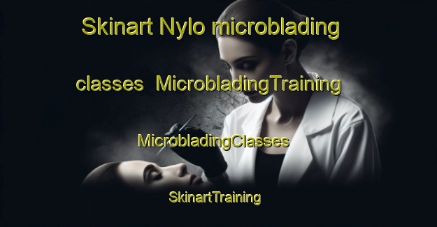 Skinart Nylo microblading classes | MicrobladingTraining | MicrobladingClasses | SkinartTraining-Norway