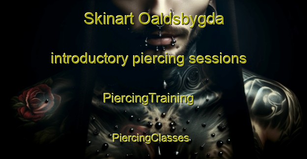 Skinart Oaldsbygda introductory piercing sessions | PiercingTraining | PiercingClasses | SkinartTraining-Norway