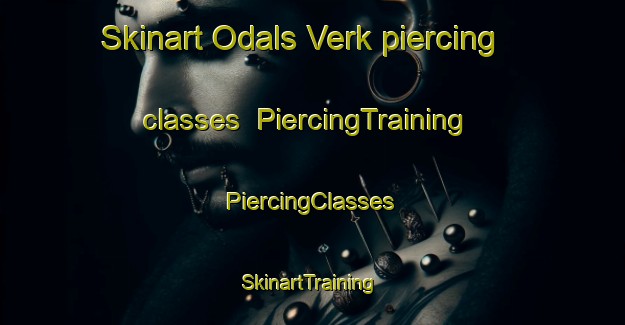 Skinart Odals Verk piercing classes | #PiercingTraining #PiercingClasses #SkinartTraining-Norway