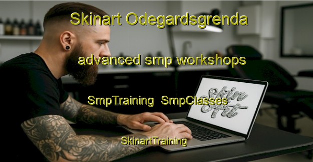 Skinart Odegardsgrenda advanced smp workshops | SmpTraining | SmpClasses | SkinartTraining-Norway