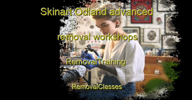 Skinart Odland advanced removal workshops | RemovalTraining | RemovalClasses | SkinartTraining-Norway