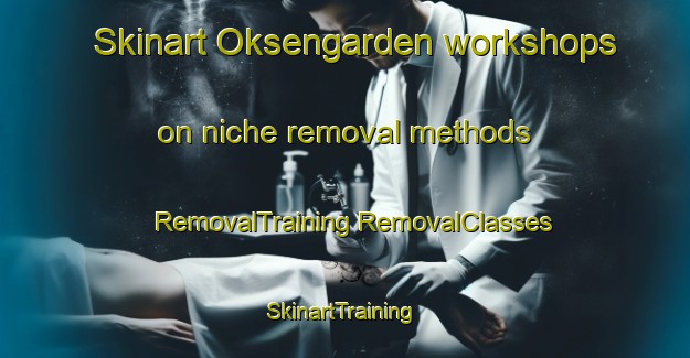 Skinart Oksengarden workshops on niche removal methods | #RemovalTraining #RemovalClasses #SkinartTraining-Norway