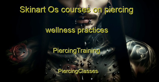 Skinart Os courses on piercing wellness practices | PiercingTraining | PiercingClasses | SkinartTraining-Norway