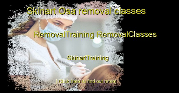 Skinart Osa removal classes | #RemovalTraining #RemovalClasses #SkinartTraining-Norway