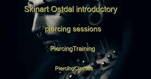 Skinart Ostdal introductory piercing sessions | PiercingTraining | PiercingClasses | SkinartTraining-Norway