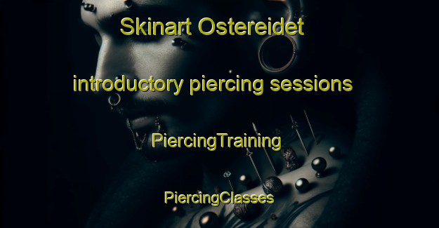 Skinart Ostereidet introductory piercing sessions | #PiercingTraining #PiercingClasses #SkinartTraining-Norway