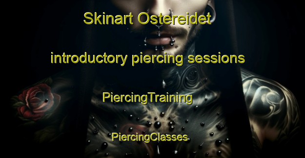 Skinart Ostereidet introductory piercing sessions | PiercingTraining | PiercingClasses | SkinartTraining-Norway