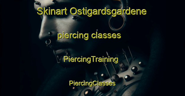 Skinart Ostigardsgardene piercing classes | #PiercingTraining #PiercingClasses #SkinartTraining-Norway