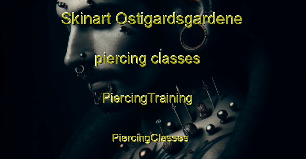 Skinart Ostigardsgardene piercing classes | PiercingTraining | PiercingClasses | SkinartTraining-Norway
