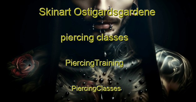 Skinart Ostigardsgardene piercing classes | PiercingTraining | PiercingClasses | SkinartTraining-Norway