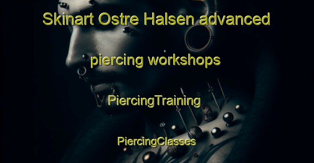 Skinart Ostre Halsen advanced piercing workshops | #PiercingTraining #PiercingClasses #SkinartTraining-Norway