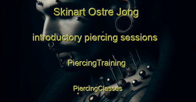 Skinart Ostre Jong introductory piercing sessions | #PiercingTraining #PiercingClasses #SkinartTraining-Norway