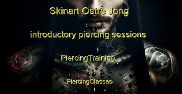 Skinart Ostre Jong introductory piercing sessions | PiercingTraining | PiercingClasses | SkinartTraining-Norway