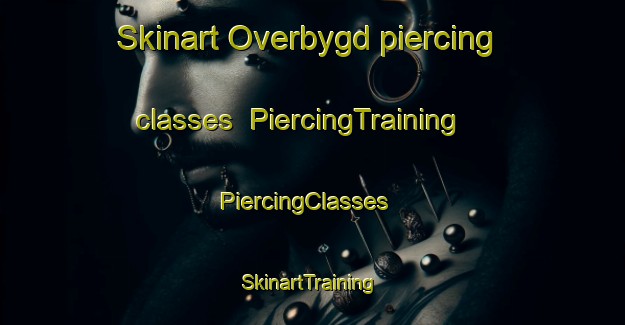 Skinart Overbygd piercing classes | PiercingTraining | PiercingClasses | SkinartTraining-Norway
