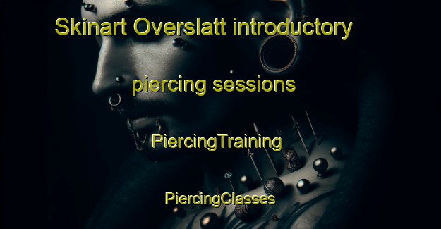 Skinart Overslatt introductory piercing sessions | #PiercingTraining #PiercingClasses #SkinartTraining-Norway