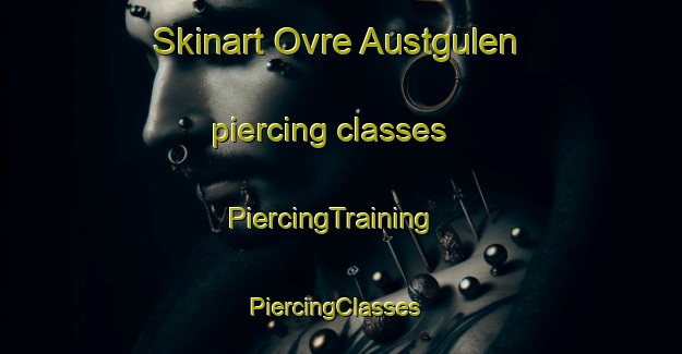 Skinart Ovre Austgulen piercing classes | PiercingTraining | PiercingClasses | SkinartTraining-Norway