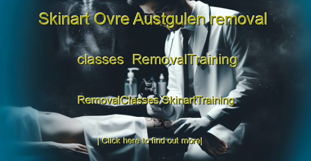 Skinart Ovre Austgulen removal classes | #RemovalTraining #RemovalClasses #SkinartTraining-Norway