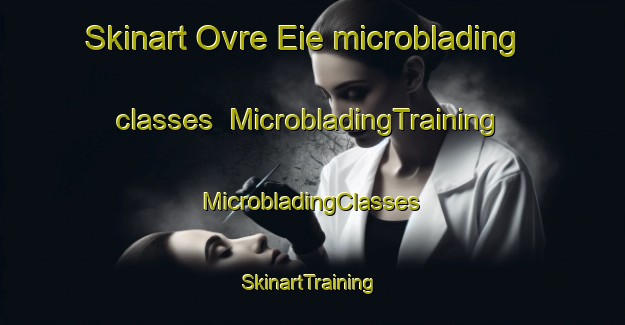 Skinart Ovre Eie microblading classes | #MicrobladingTraining #MicrobladingClasses #SkinartTraining-Norway