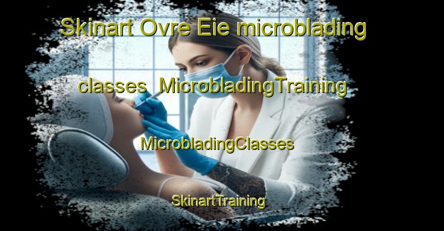 Skinart Ovre Eie microblading classes | MicrobladingTraining | MicrobladingClasses | SkinartTraining-Norway