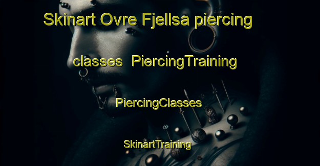 Skinart Ovre Fjellsa piercing classes | #PiercingTraining #PiercingClasses #SkinartTraining-Norway