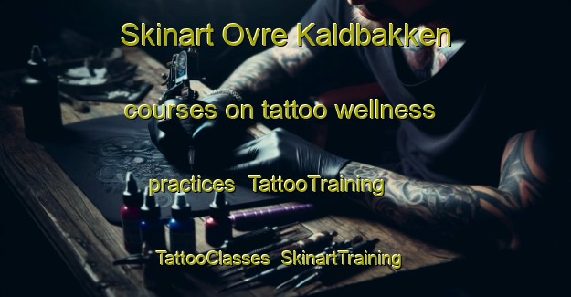 Skinart Ovre Kaldbakken courses on tattoo wellness practices | TattooTraining | TattooClasses | SkinartTraining-Norway