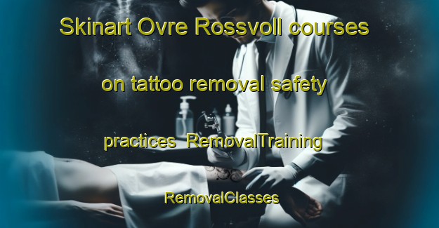 Skinart Ovre Rossvoll courses on tattoo removal safety practices | RemovalTraining | RemovalClasses | SkinartTraining-Norway