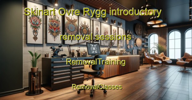 Skinart Ovre Rygg introductory removal sessions | RemovalTraining | RemovalClasses | SkinartTraining-Norway